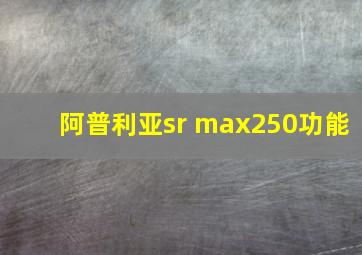 阿普利亚sr max250功能